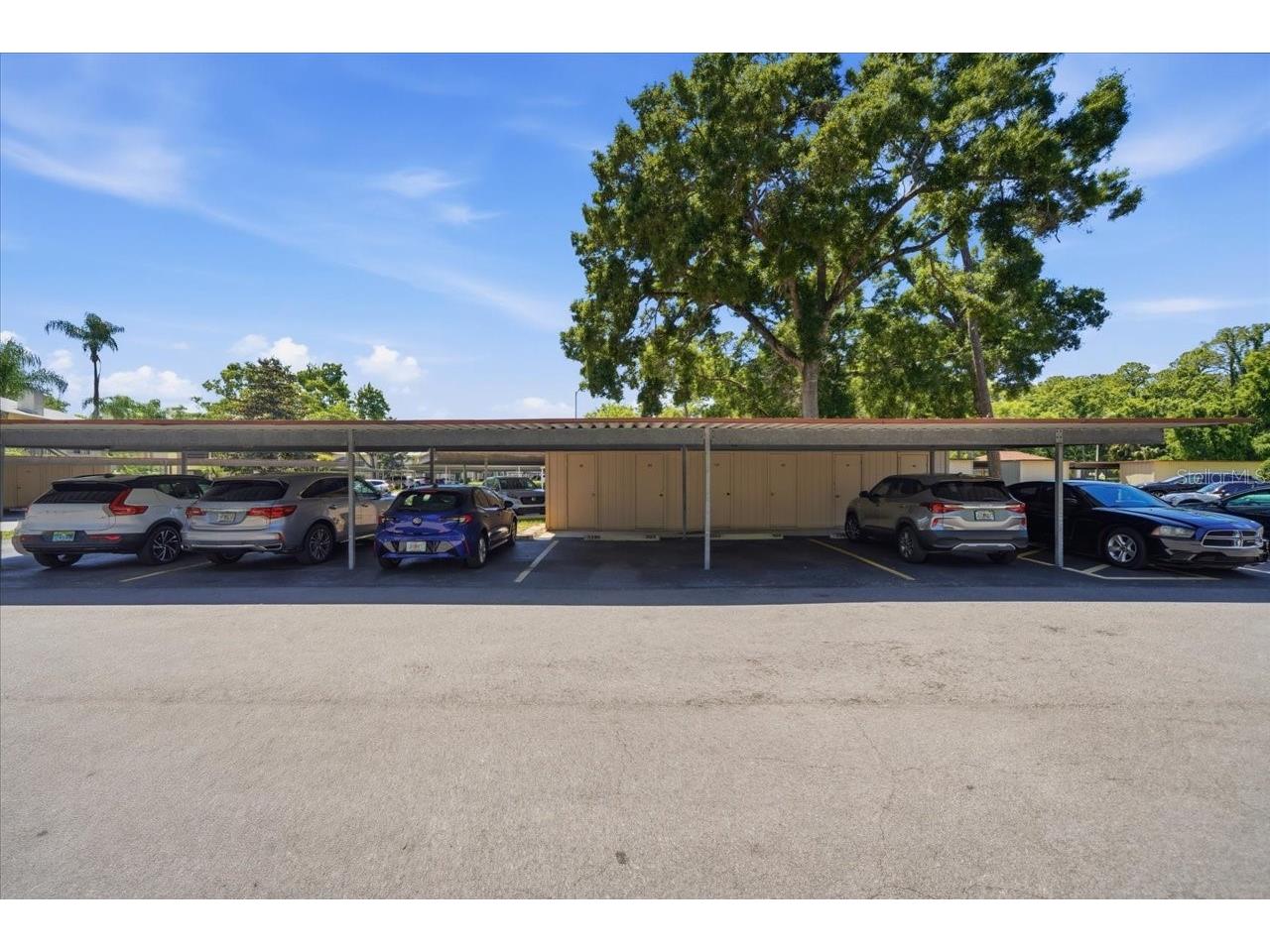 3399 Mermoor Drive #101 Palm Harbor FL 34685 TB8500467 image31