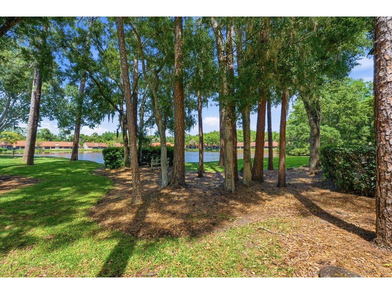 3399 Mermoor Drive #101 Palm Harbor FL 34685 TB8500467 image32