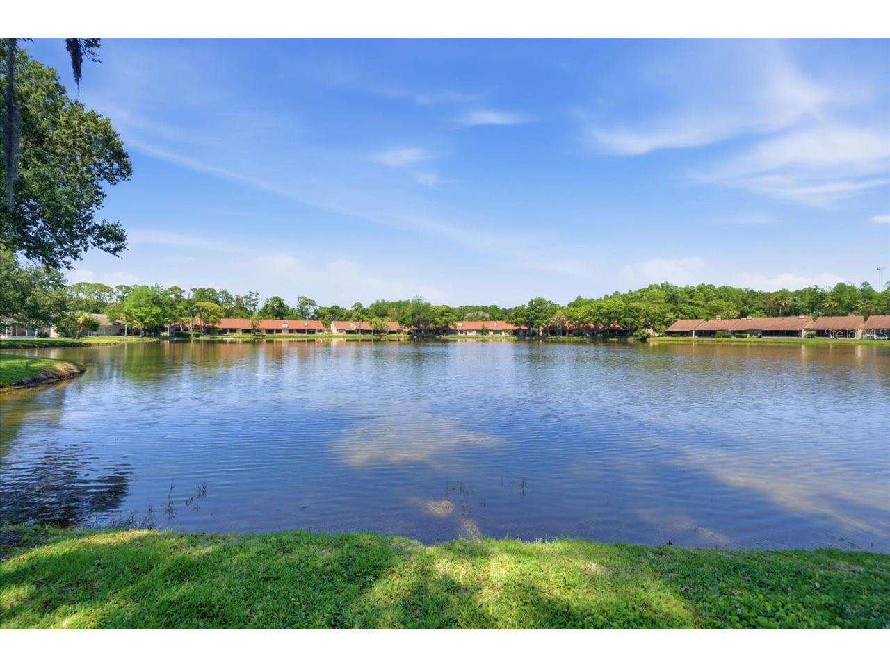 3399 Mermoor Drive #101 Palm Harbor FL 34685 TB8500467 image33