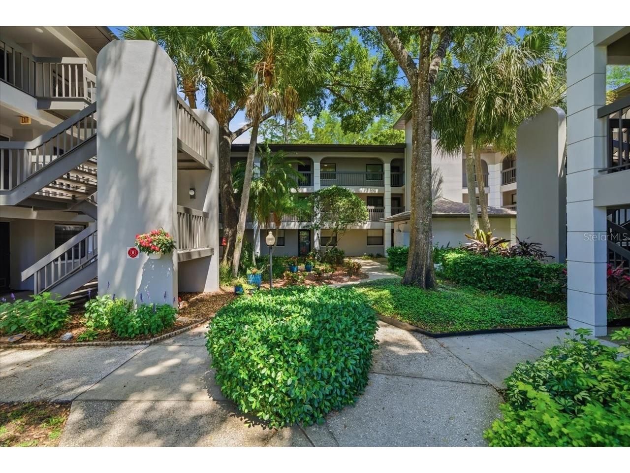 3399 Mermoor Drive #101 Palm Harbor FL 34685 TB8500467 image37