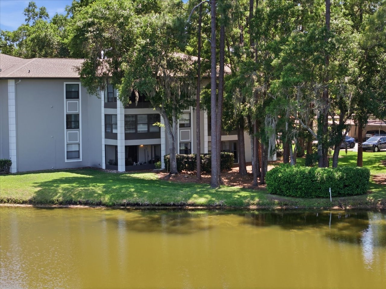 3399 Mermoor Drive #101 Palm Harbor FL 34685 TB8500467 image38