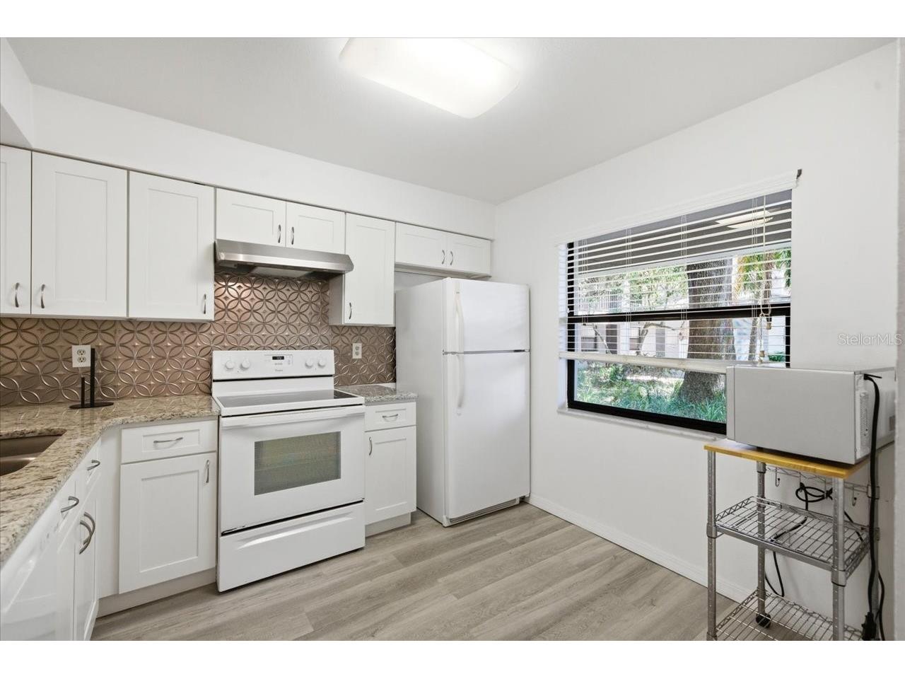 3399 Mermoor Drive #101 Palm Harbor FL 34685 TB8500467 image6