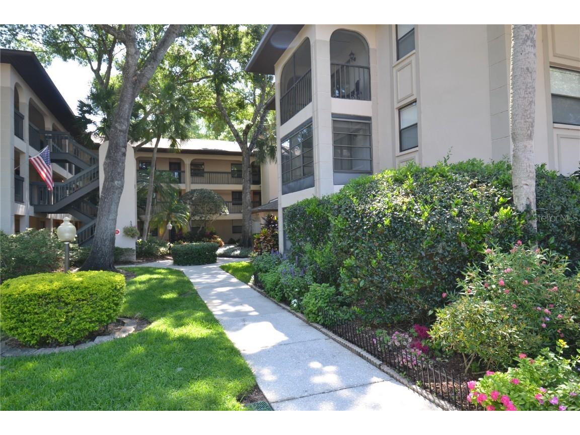 3399 Mermoor Drive #110 Palm Harbor FL 34685 U8240850 image1