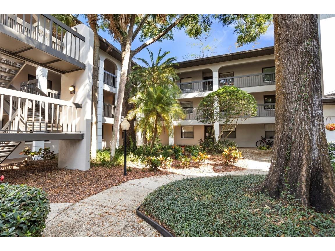 3399 Mermoor Drive #207 Palm Harbor FL 34685 TB8449433 image1