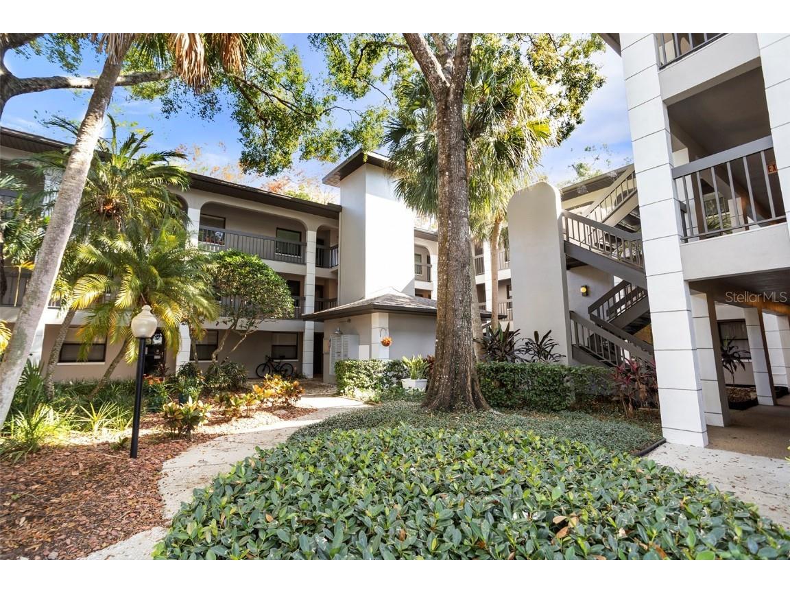 3399 Mermoor Drive #207 Palm Harbor FL 34685 TB8449433 image10