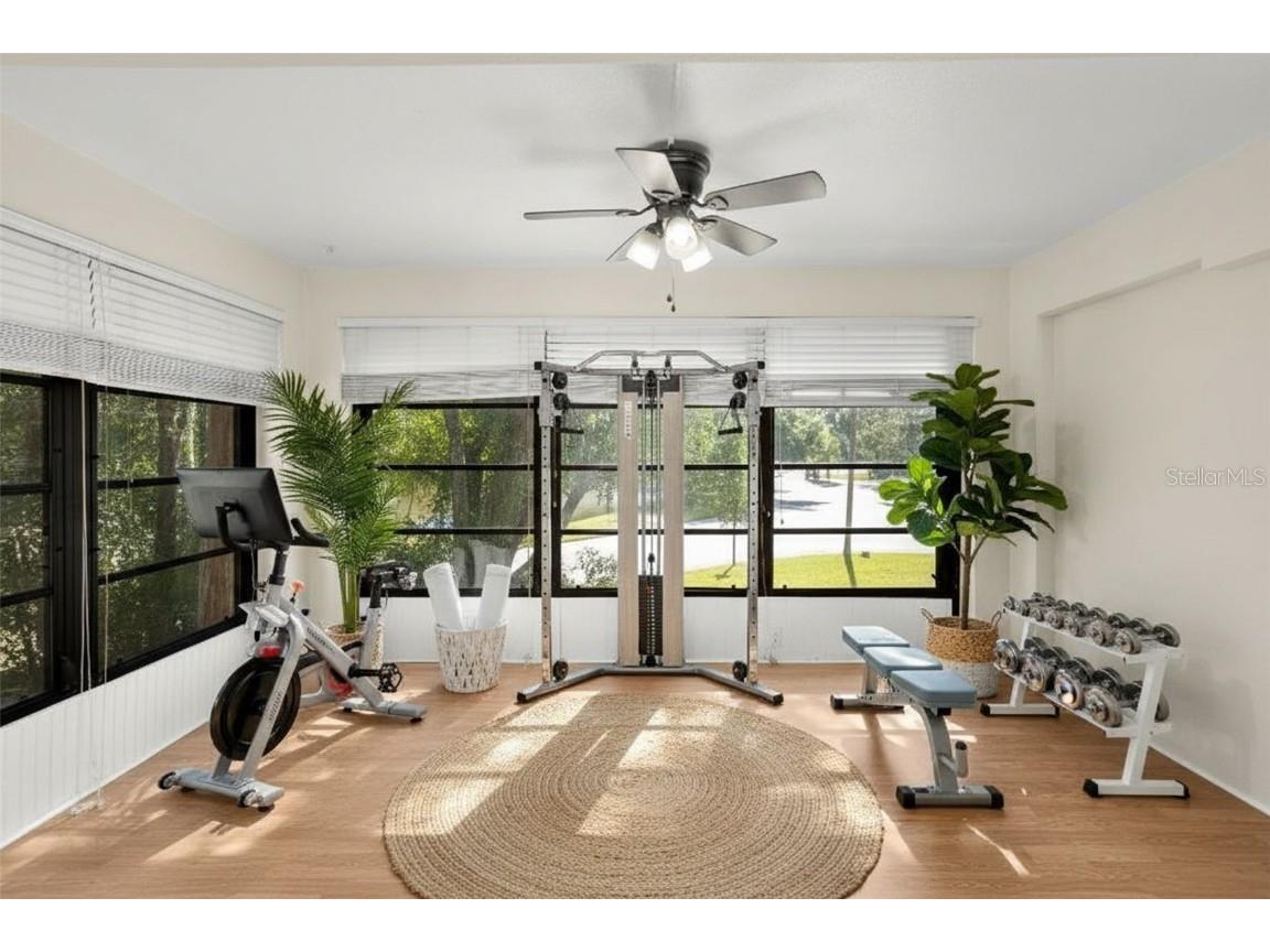 3399 Mermoor Drive #207 Palm Harbor FL 34685 TB8449433 image19