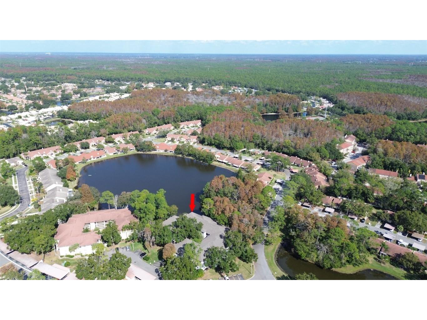 3399 Mermoor Drive #207 Palm Harbor FL 34685 TB8449433 image2