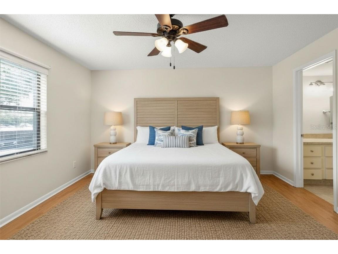 3399 Mermoor Drive #207 Palm Harbor FL 34685 TB8449433 image24