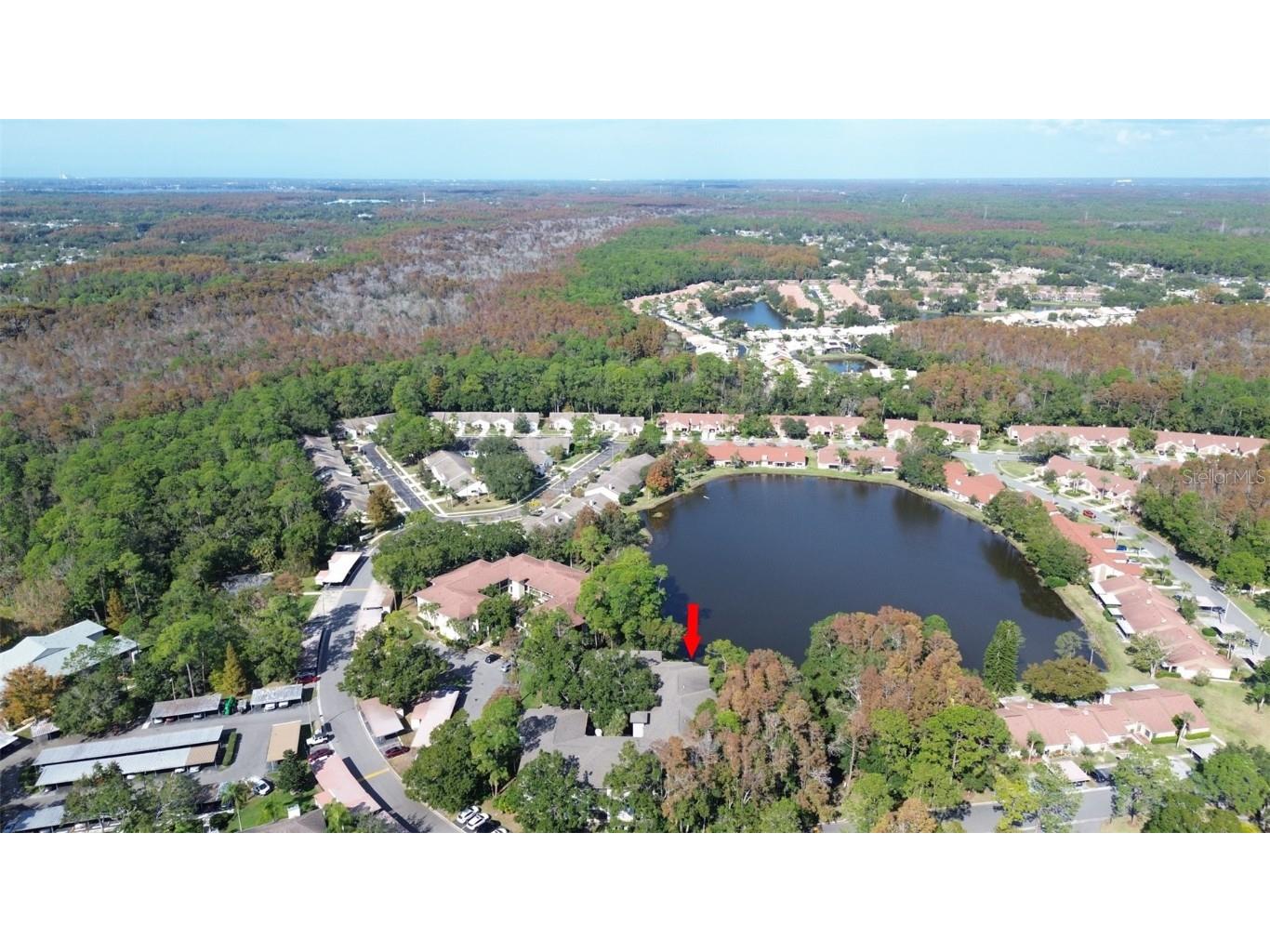 3399 Mermoor Drive #207 Palm Harbor FL 34685 TB8449433 image3