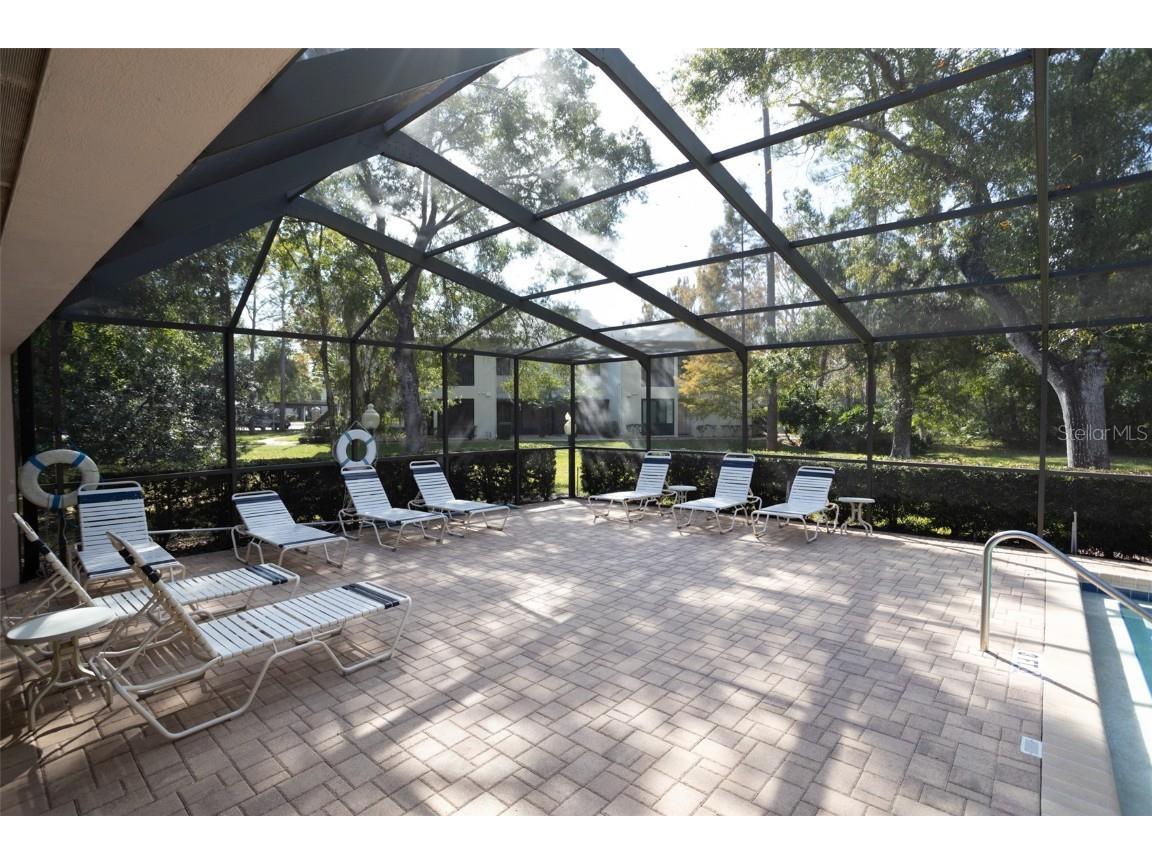 3399 Mermoor Drive #207 Palm Harbor FL 34685 TB8449433 image38