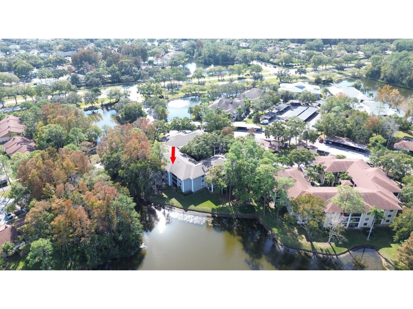 3399 Mermoor Drive #207 Palm Harbor FL 34685 TB8449433 image4