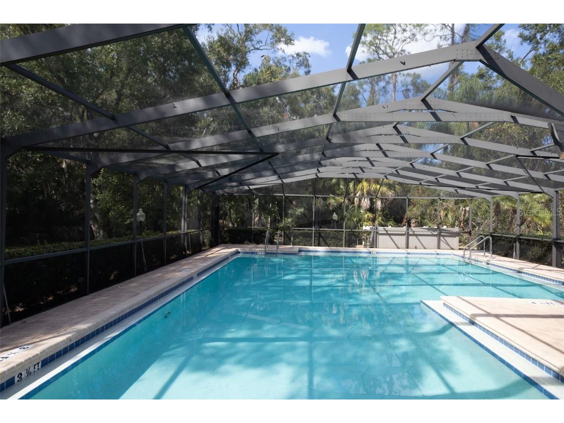 3399 Mermoor Drive #207 Palm Harbor FL 34685 TB8449433 image43