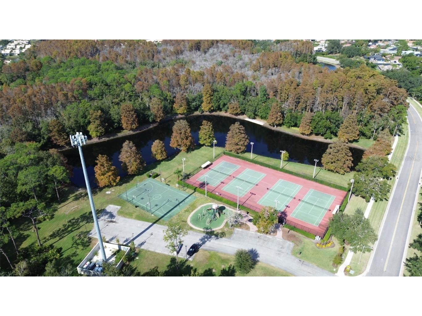 3399 Mermoor Drive #207 Palm Harbor FL 34685 TB8449433 image44