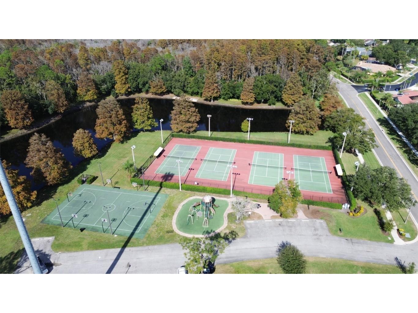 3399 Mermoor Drive #207 Palm Harbor FL 34685 TB8449433 image45