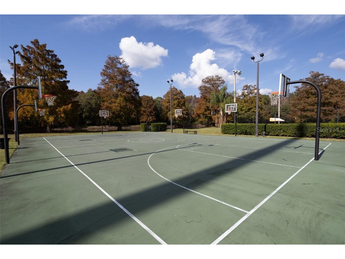 3399 Mermoor Drive #207 Palm Harbor FL 34685 TB8449433 image46