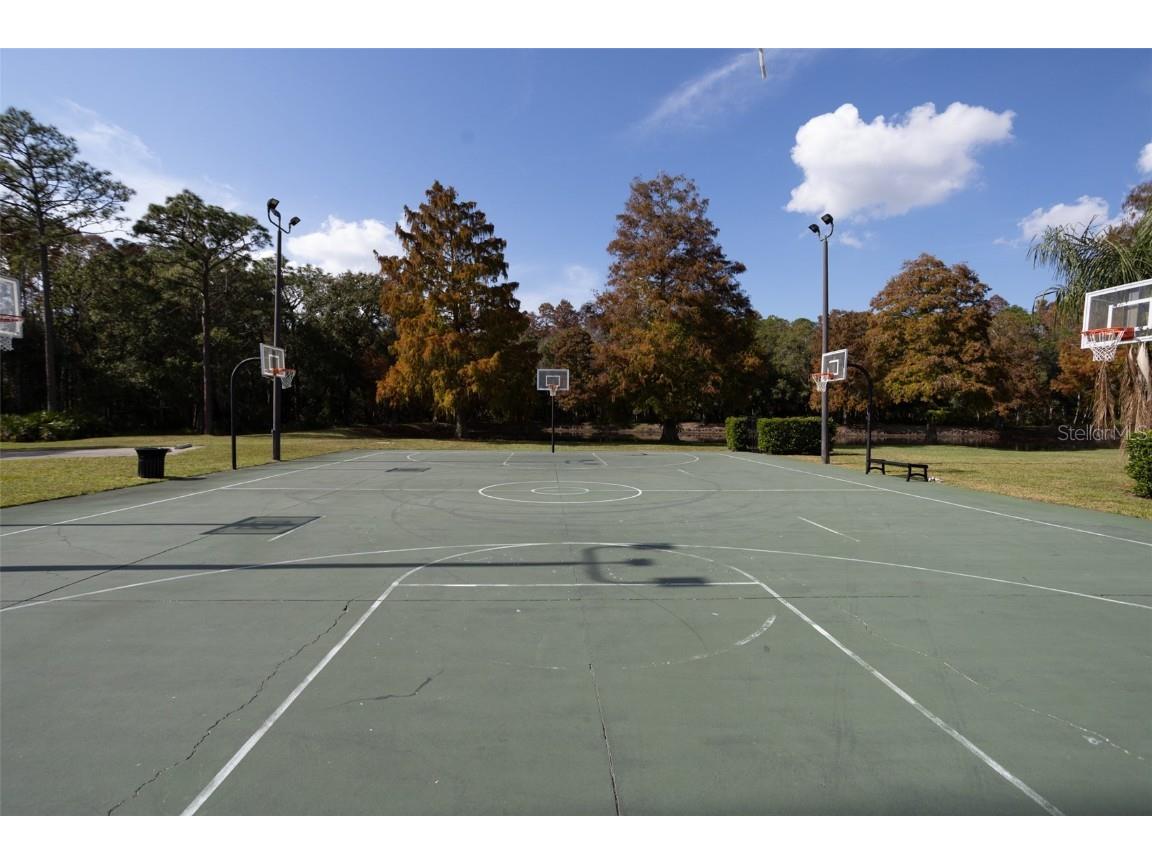 3399 Mermoor Drive #207 Palm Harbor FL 34685 TB8449433 image47