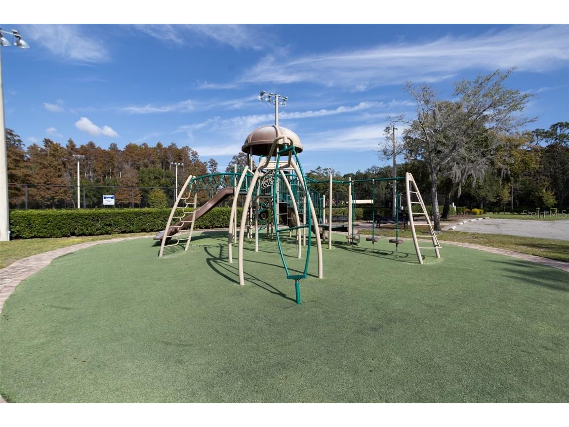 3399 Mermoor Drive #207 Palm Harbor FL 34685 TB8449433 image48