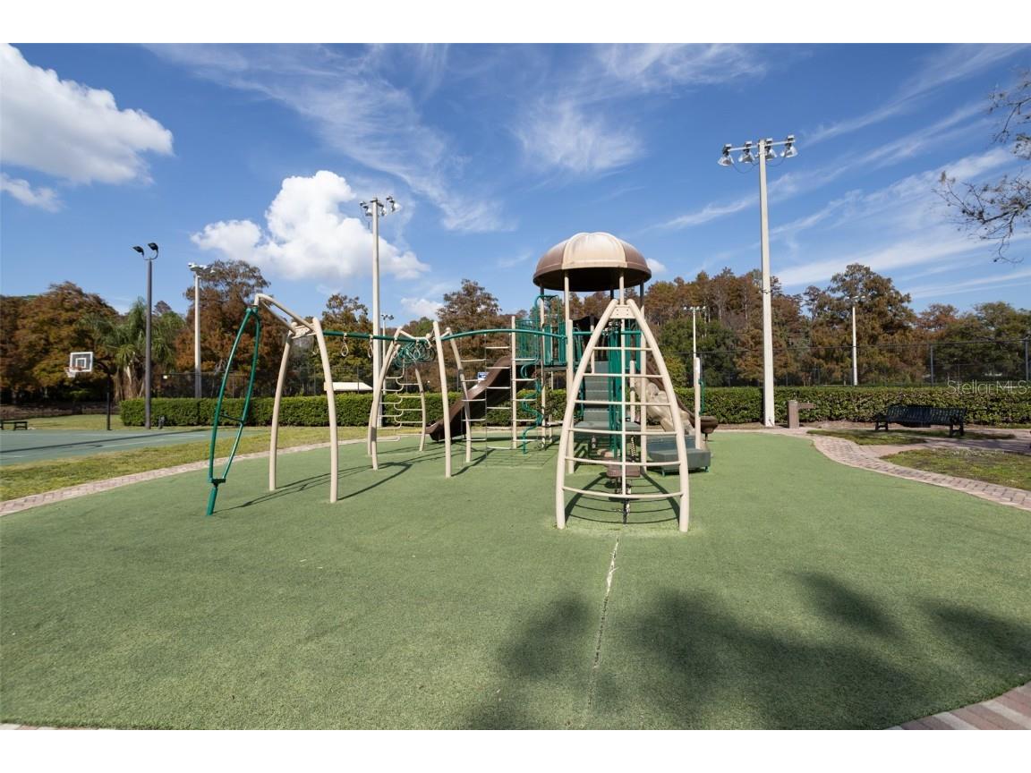 3399 Mermoor Drive #207 Palm Harbor FL 34685 TB8449433 image49