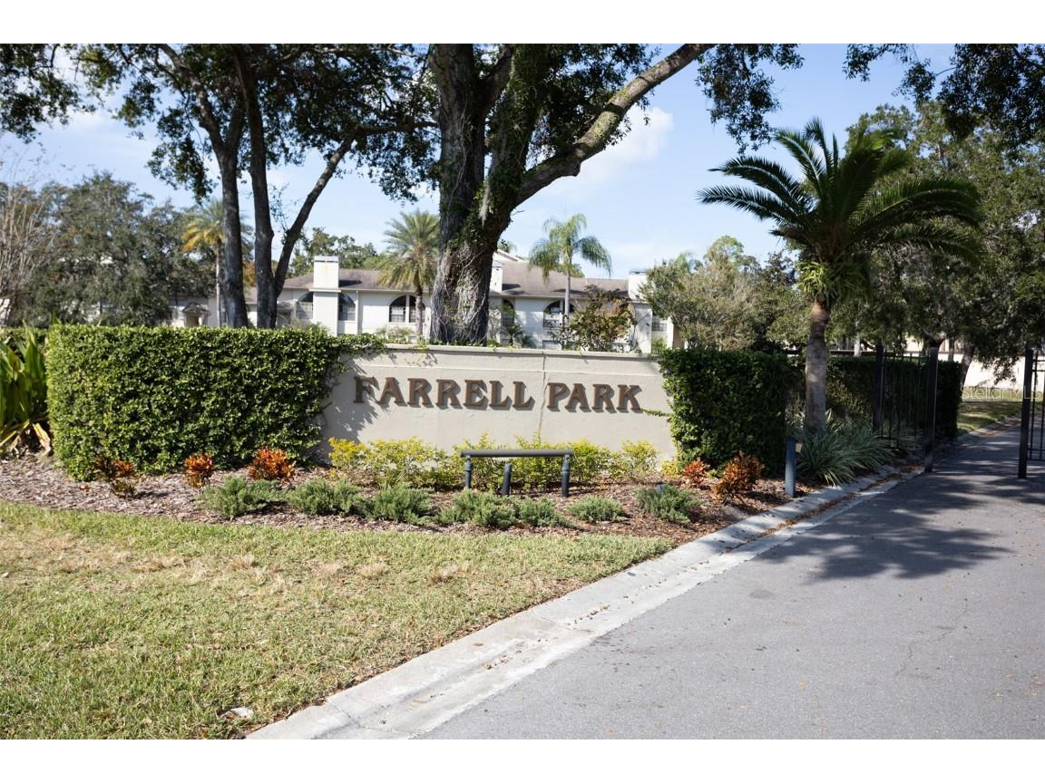 3399 Mermoor Drive #207 Palm Harbor FL 34685 TB8449433 image5