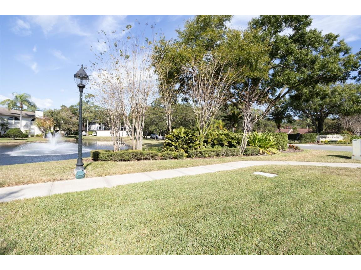 3399 Mermoor Drive #207 Palm Harbor FL 34685 TB8449433 image50