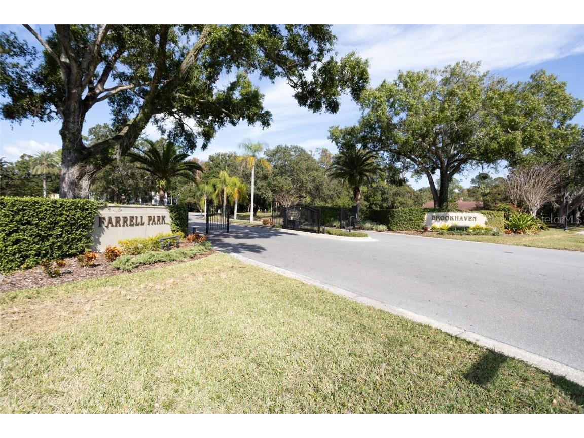 3399 Mermoor Drive #207 Palm Harbor FL 34685 TB8449433 image51