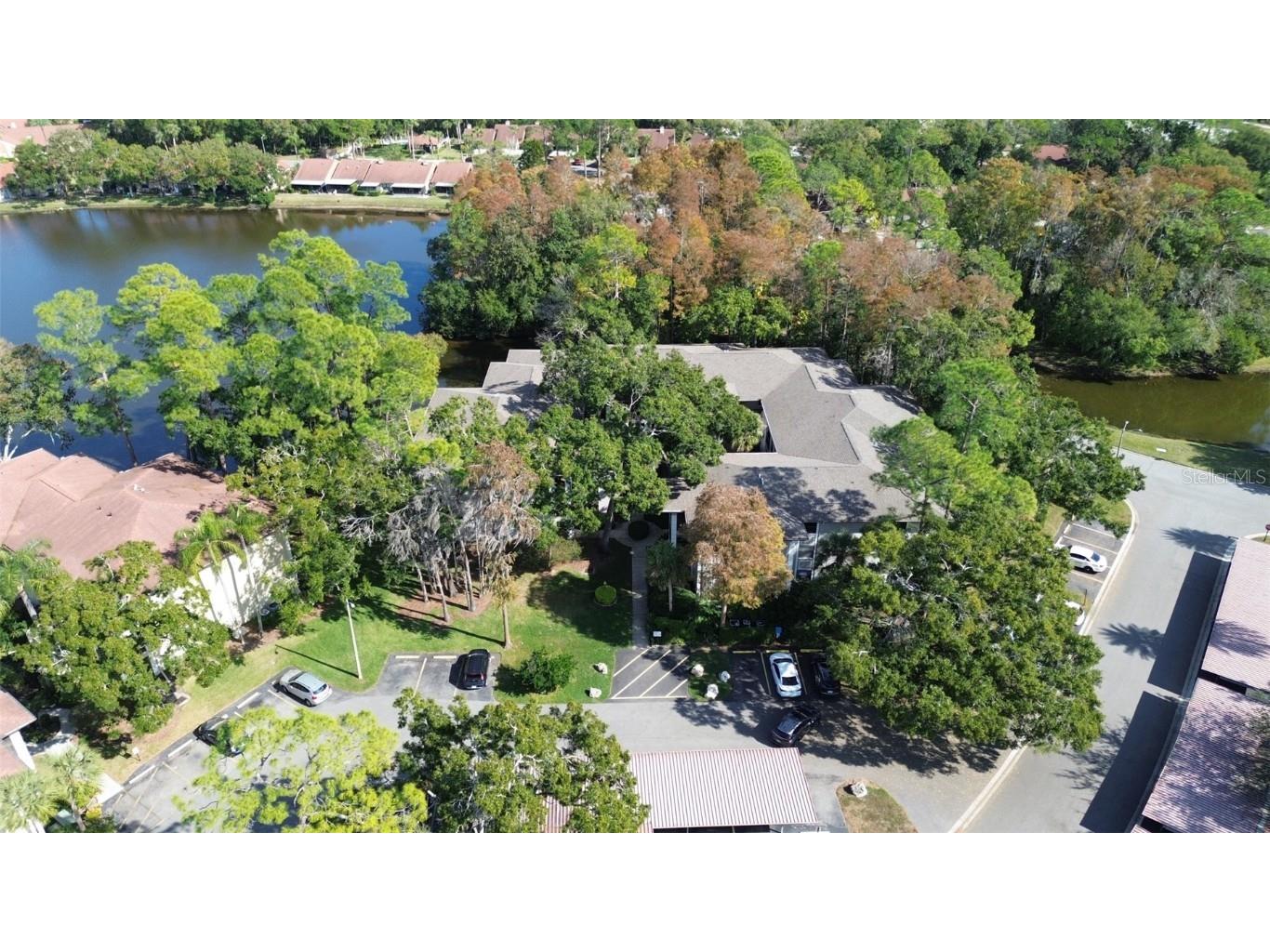 3399 Mermoor Drive #207 Palm Harbor FL 34685 TB8449433 image52