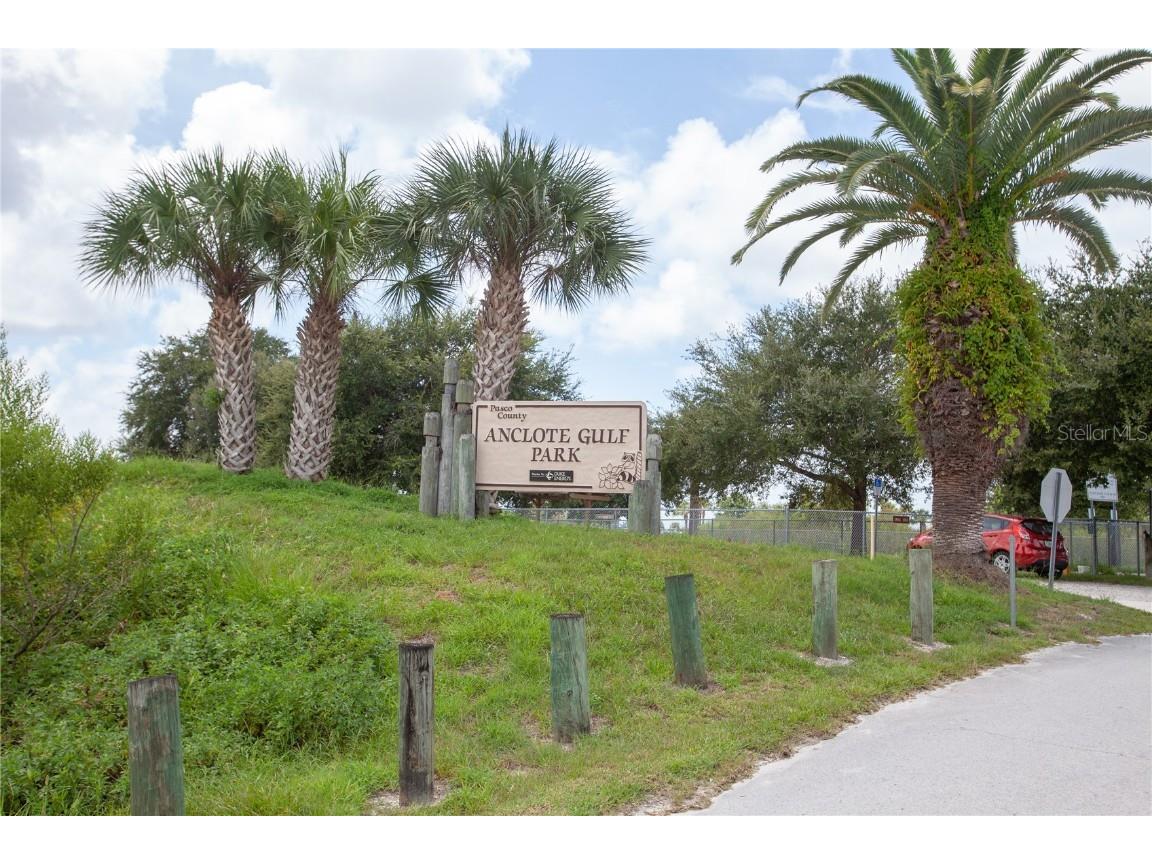 3399 Mermoor Drive #207 Palm Harbor FL 34685 TB8449433 image53