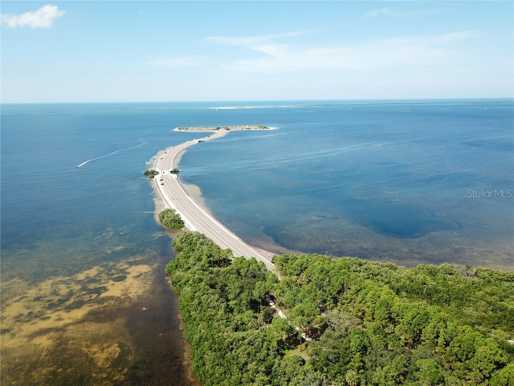 3399 Mermoor Drive #207 Palm Harbor FL 34685 TB8449433 image57