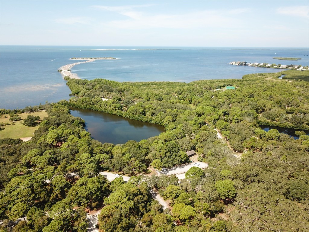 3399 Mermoor Drive #207 Palm Harbor FL 34685 TB8449433 image58