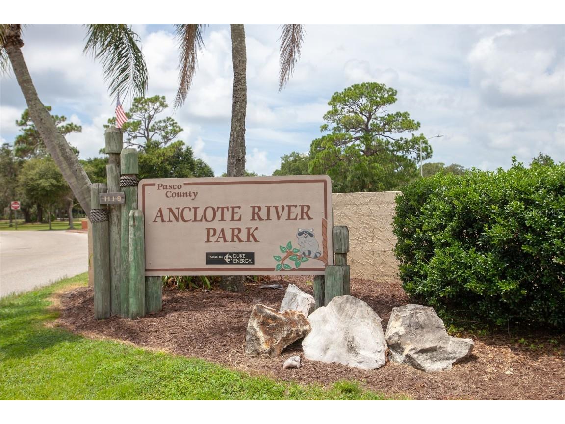 3399 Mermoor Drive #207 Palm Harbor FL 34685 TB8449433 image59