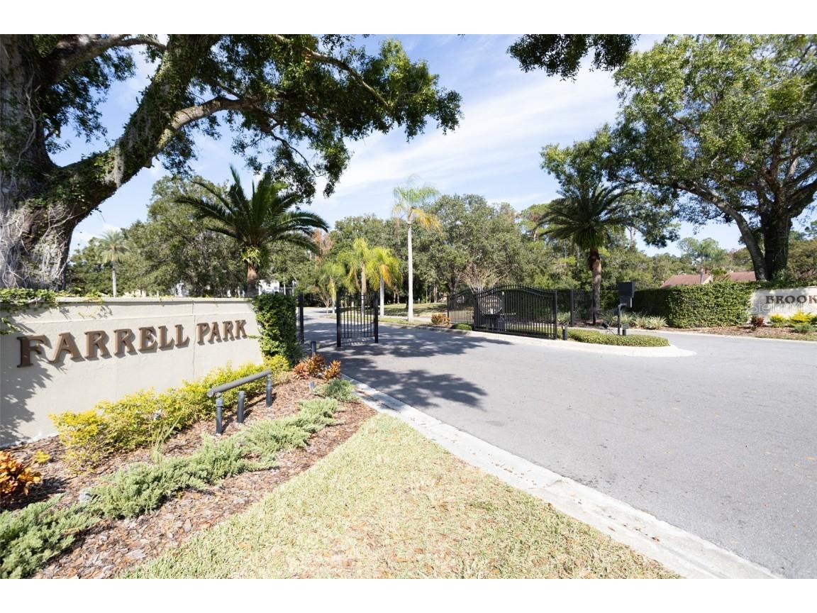 3399 Mermoor Drive #207 Palm Harbor FL 34685 TB8449433 image6