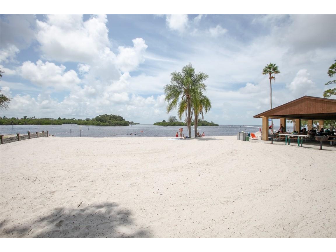 3399 Mermoor Drive #207 Palm Harbor FL 34685 TB8449433 image61