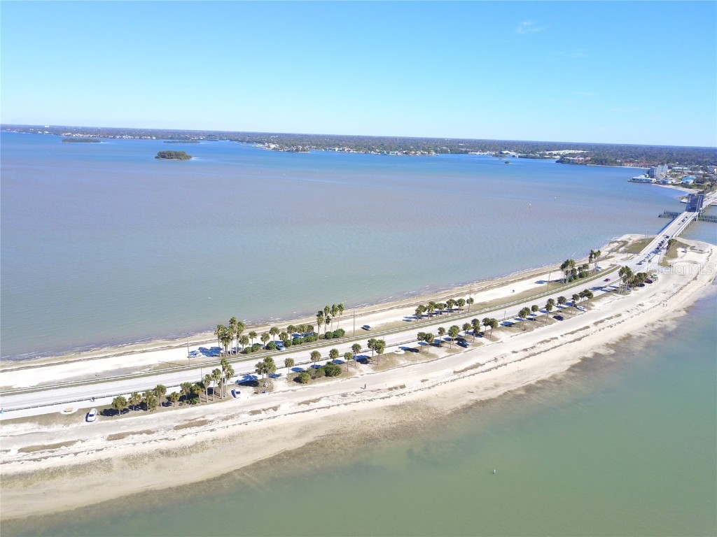 3399 Mermoor Drive #207 Palm Harbor FL 34685 TB8449433 image62