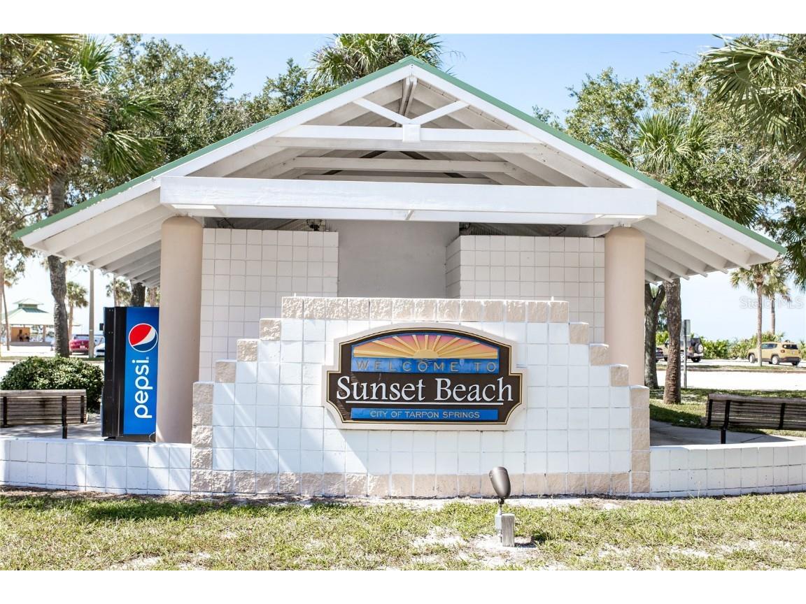 3399 Mermoor Drive #207 Palm Harbor FL 34685 TB8449433 image65