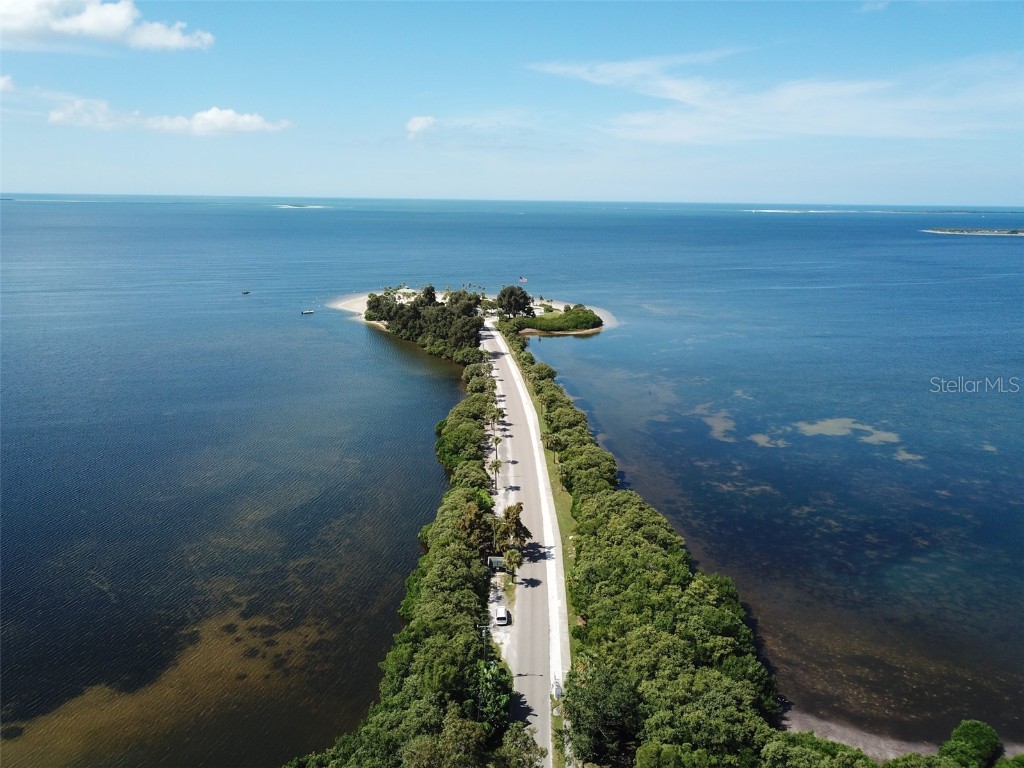 3399 Mermoor Drive #207 Palm Harbor FL 34685 TB8449433 image66