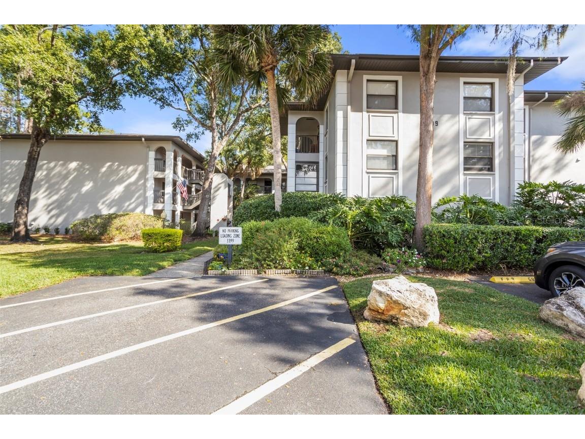 3399 Mermoor Drive #207 Palm Harbor FL 34685 TB8449433 image7