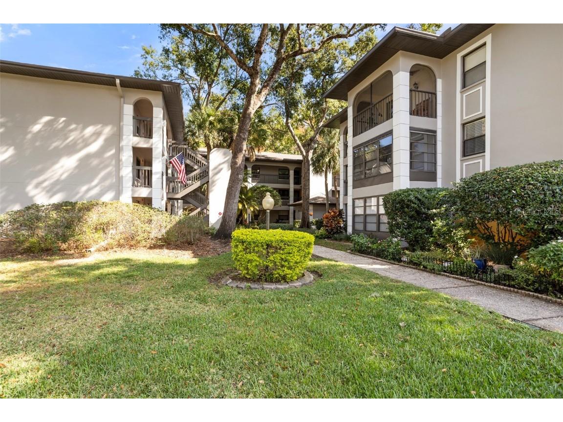 3399 Mermoor Drive #207 Palm Harbor FL 34685 TB8449433 image8