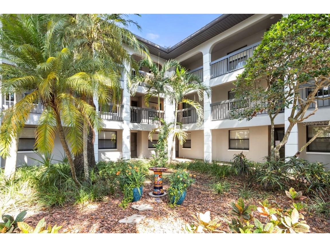 3399 Mermoor Drive #207 Palm Harbor FL 34685 TB8449433 image9