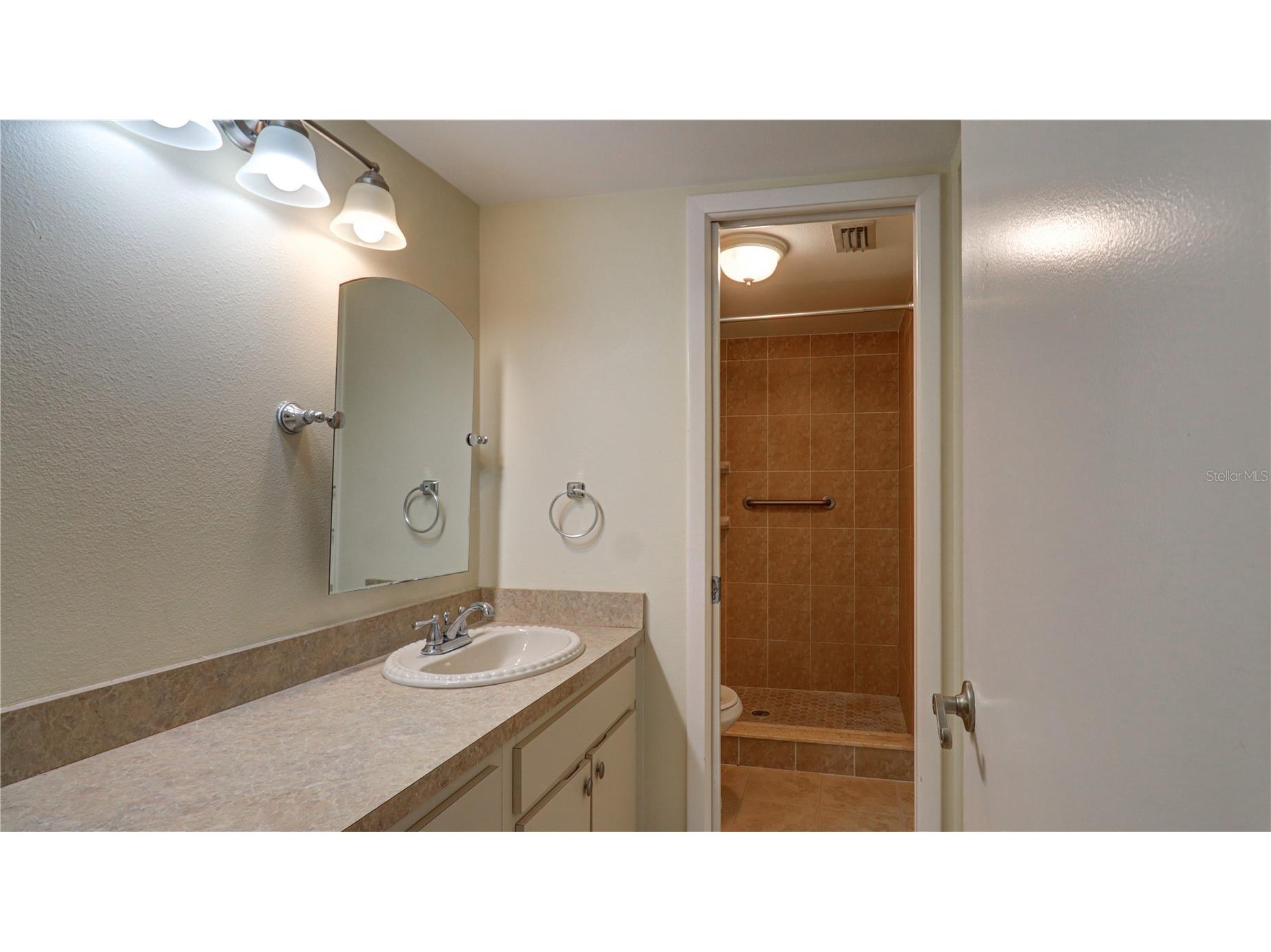 3399 Mermoor Drive #207 Palm Harbor FL 34685 TB8514591 image18