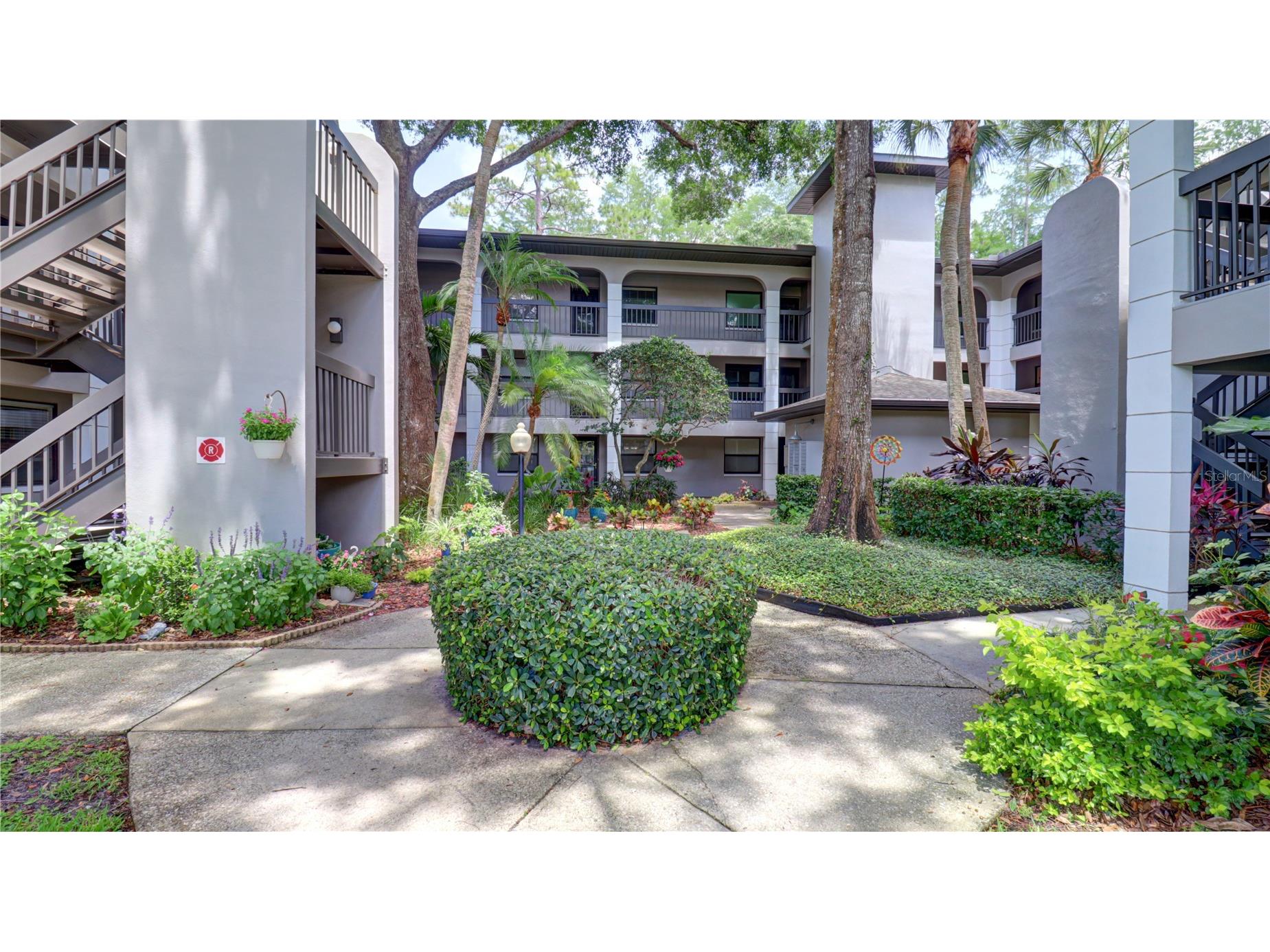 3399 Mermoor Drive #207 Palm Harbor FL 34685 TB8514591 image2
