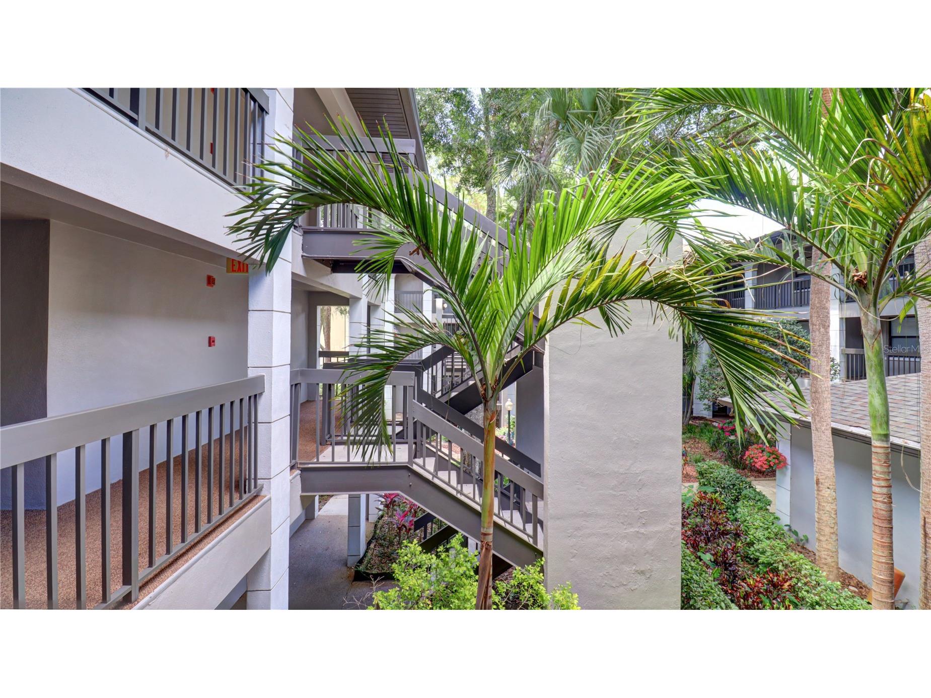3399 Mermoor Drive #207 Palm Harbor FL 34685 TB8514591 image37