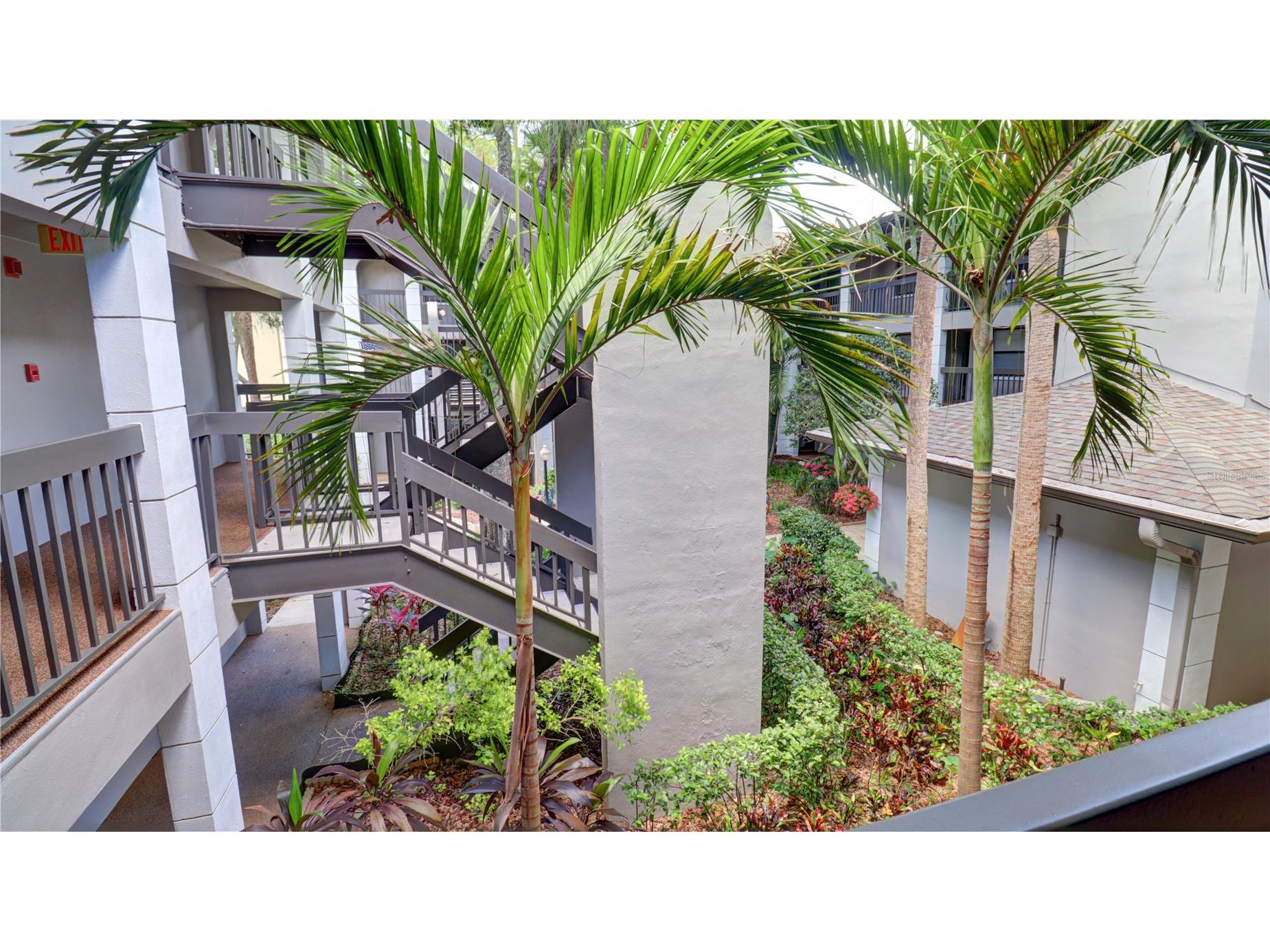 3399 Mermoor Drive #207 Palm Harbor FL 34685 TB8514591 image38