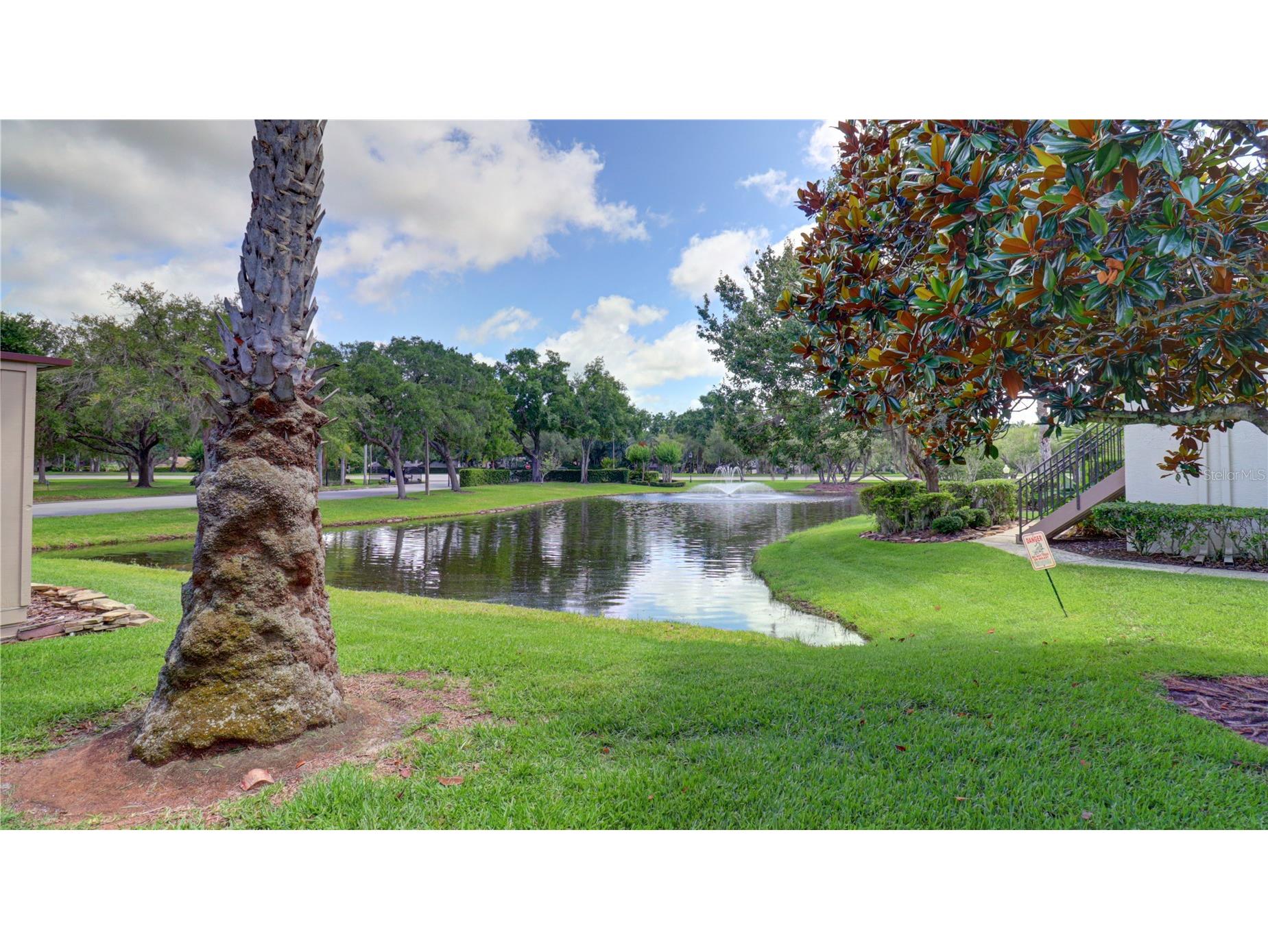 3399 Mermoor Drive #207 Palm Harbor FL 34685 TB8514591 image4