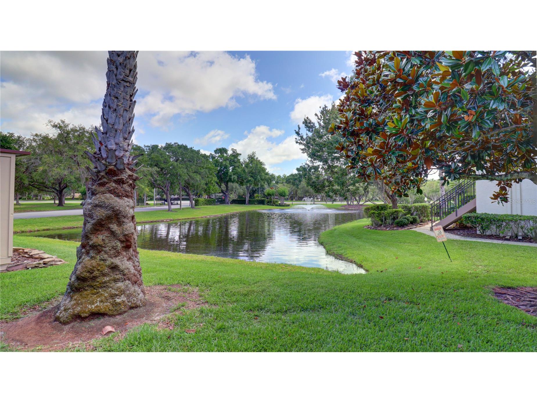 3399 Mermoor Drive #207 Palm Harbor FL 34685 TB8514591 image42