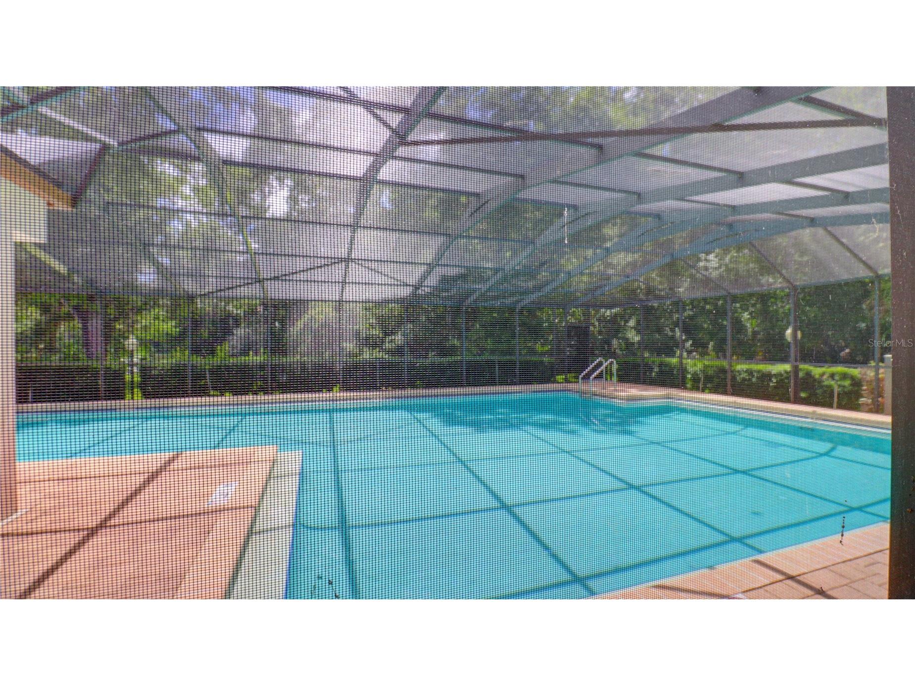 3399 Mermoor Drive #207 Palm Harbor FL 34685 TB8514591 image43