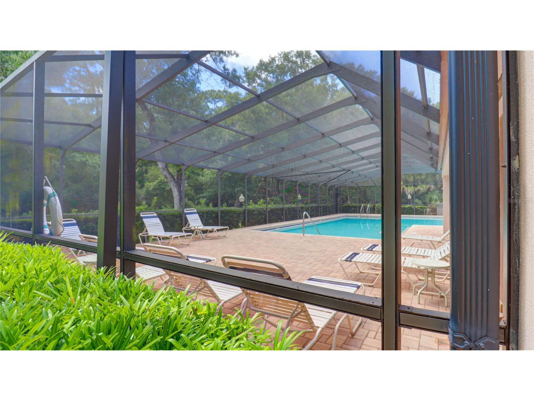 3399 Mermoor Drive #207 Palm Harbor FL 34685 TB8514591 image44