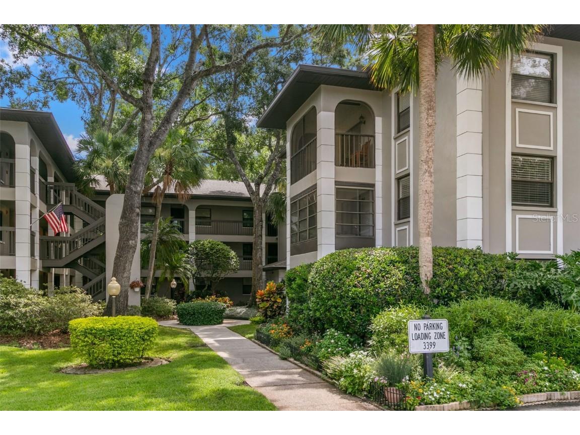 3399 Mermoor Drive #309 Palm Harbor FL 34685 TB8412796 image1