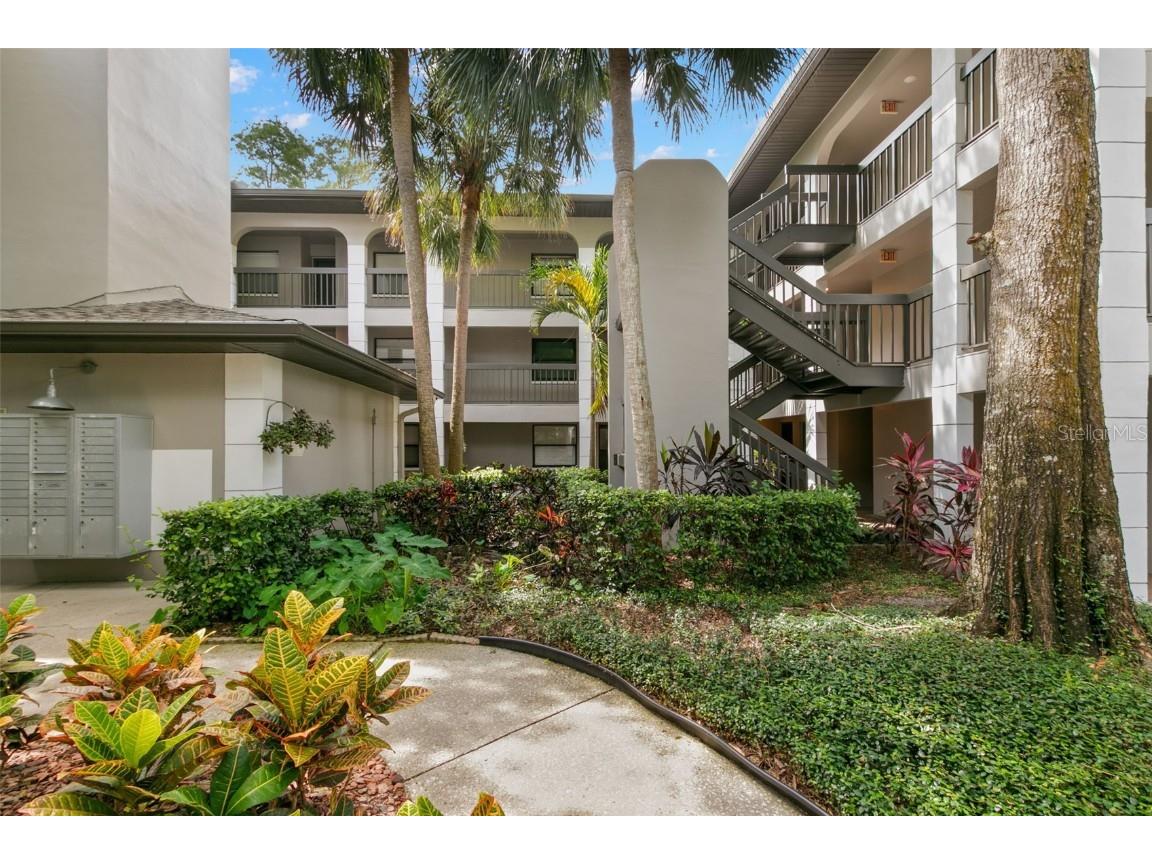 3399 Mermoor Drive #309 Palm Harbor FL 34685 TB8412796 image2