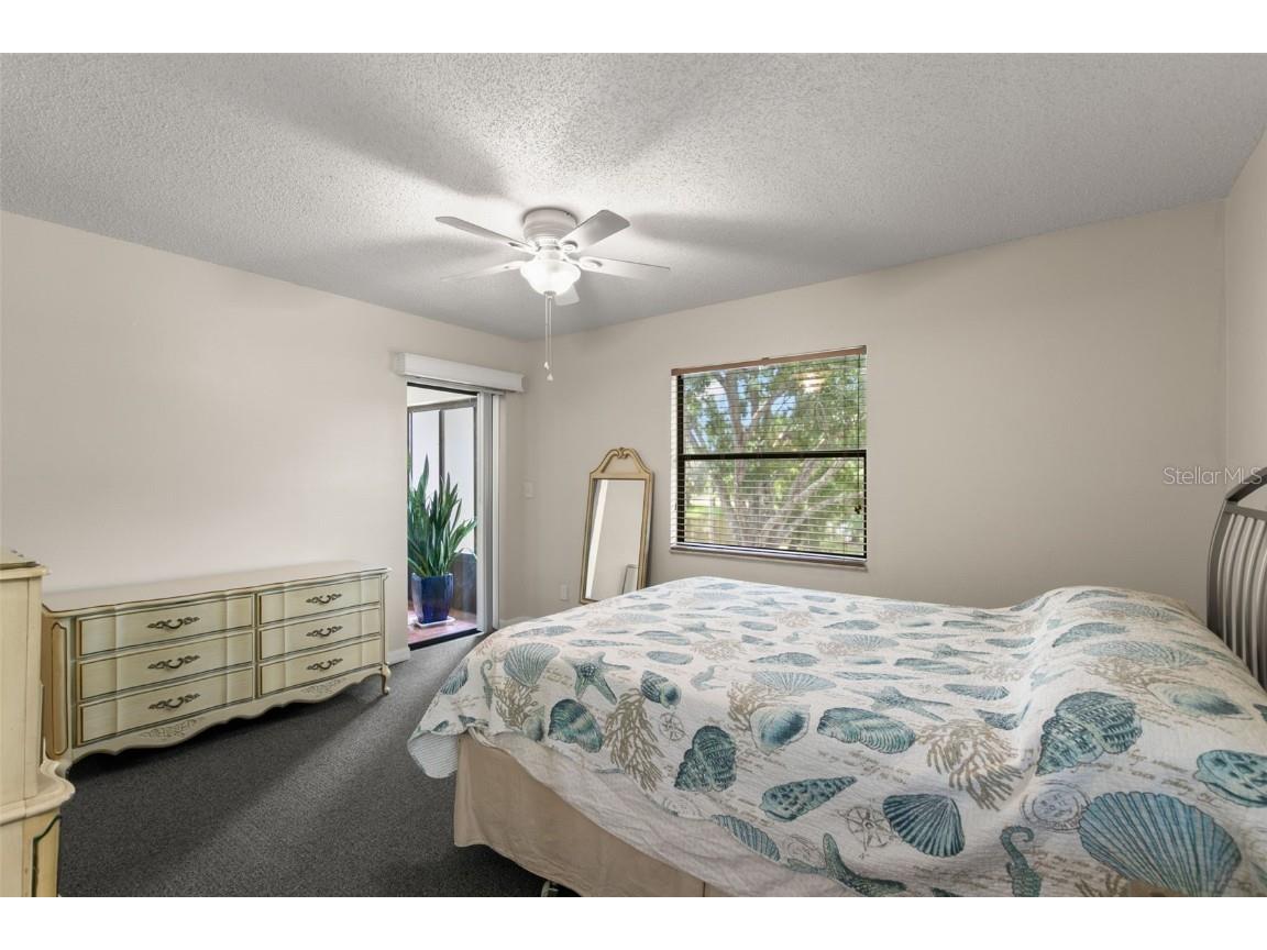 3399 Mermoor Drive #309 Palm Harbor FL 34685 TB8412796 image20