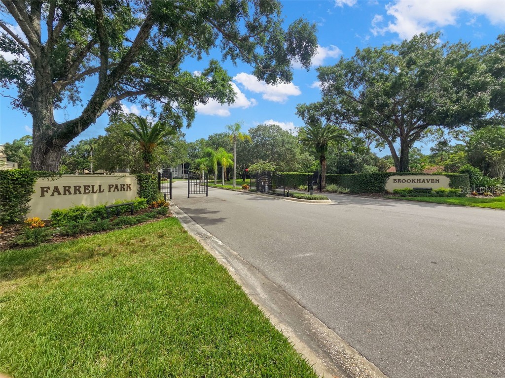 3399 Mermoor Drive #309 Palm Harbor FL 34685 TB8412796 image29